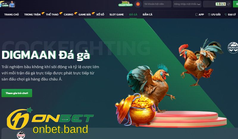 Đá Gà Onbet